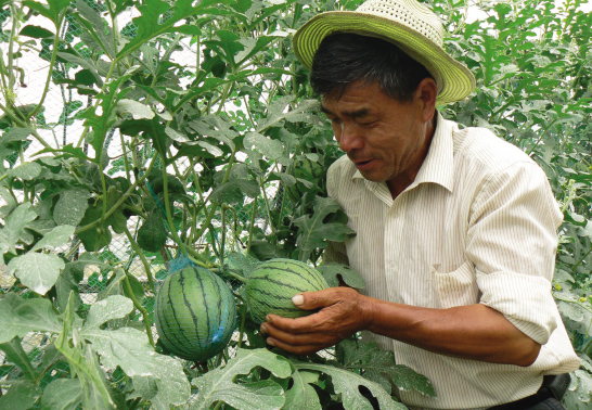 �ѹ����Ͻ����� ���һ�������