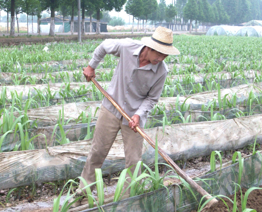 ����ũ������ָ���