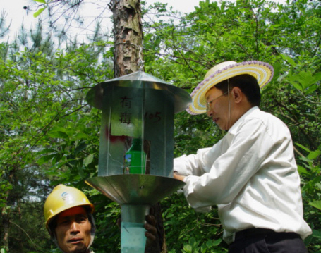 ������� ��ɱ����