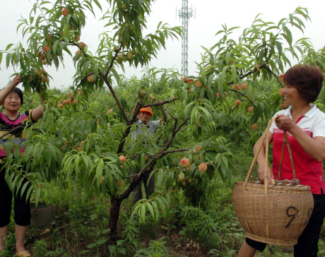 �������� ������