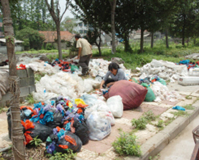 ��������Ӧ���������Ⱦ