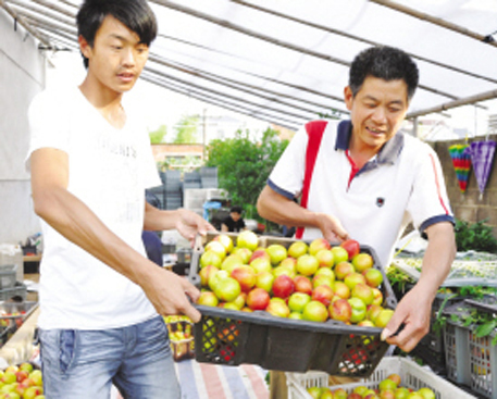 �����󻧼����� �����������