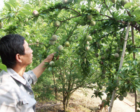 ��ɽ�ֳ��¸���