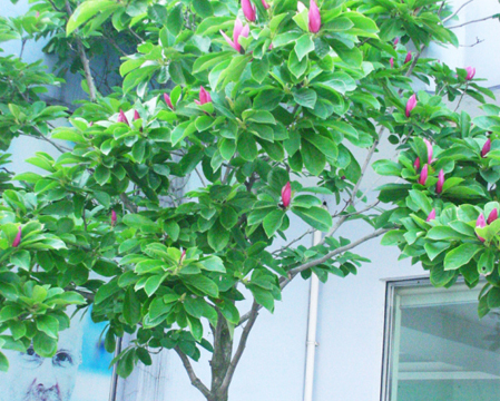 �����������һ���ھ������λ�