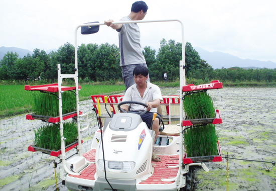 ��ͼ�ġ�ץ�����ֵ����ӽ���