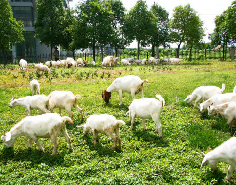 ������۴� ���Ƿ�����