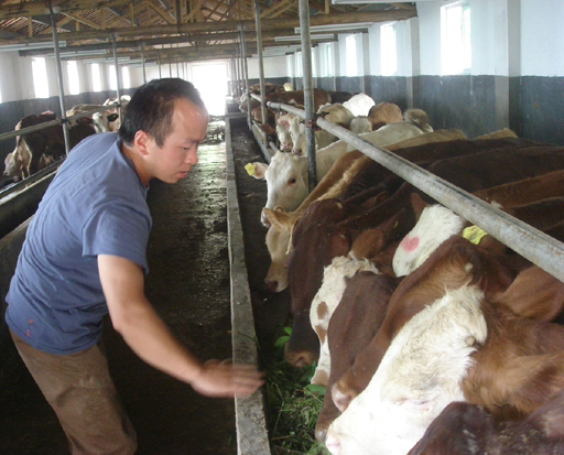 ����ɽ�ϲ�ţ����ȫ�ж�һ��