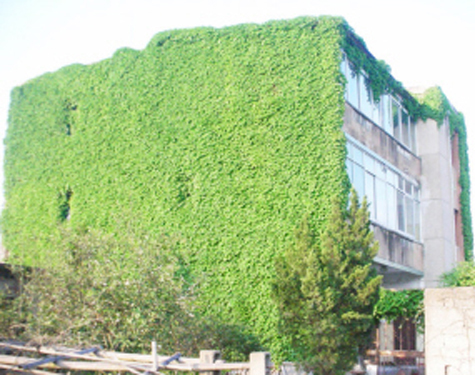 ���װ�ˡ���Ȼ�յ���