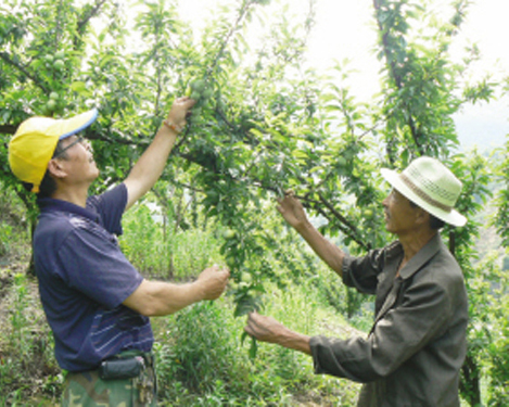 ������������� ��ũ��ѧ����æ