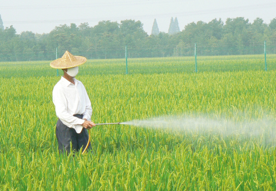 ��ͼ�ġ�2.2��Ķ�絾��������