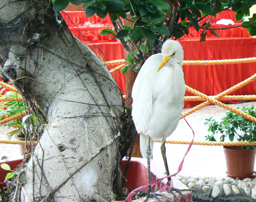 �������ұ����������ѽ��