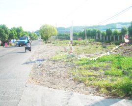 ���ǹ�·�ߵ�����ɽ������