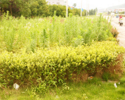 ���۴���̻���������ױ����