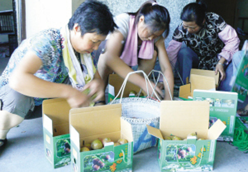 ����֮������������ ��Ʒ�ּ��۸߻���