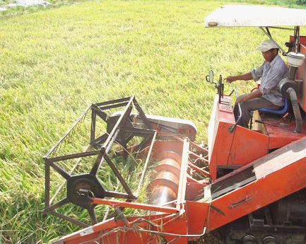 �������絾Ԥ������10%����