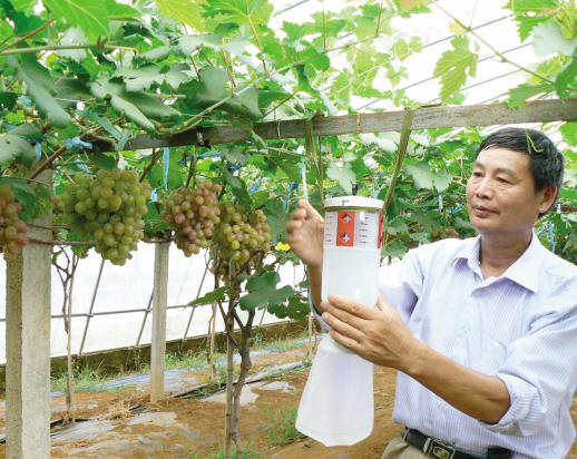 ��̬�ղ����� ȷ�����Ѱ�ȫ