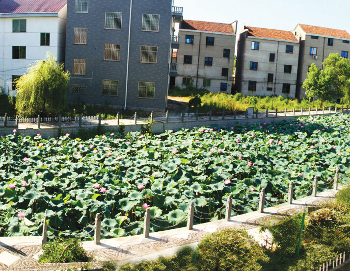 ������ǰ���� �ɻ���������