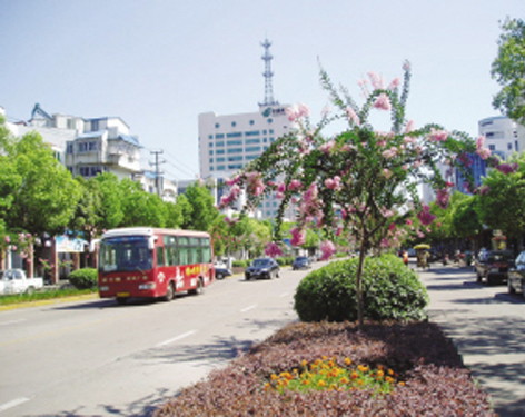 ���͵���ޱ������׺�����������