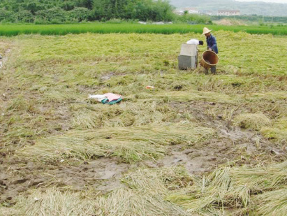 ̨�����æ����