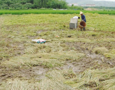 ̨�����æ����