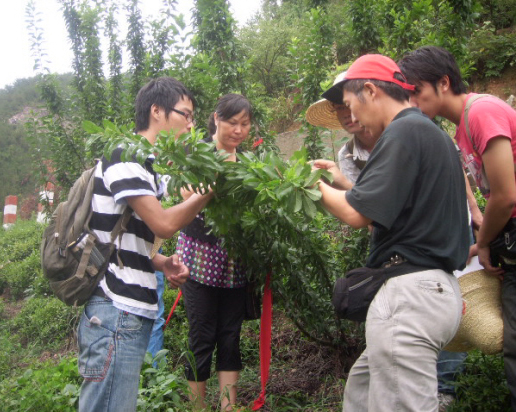 �飡������溦�ҵ�