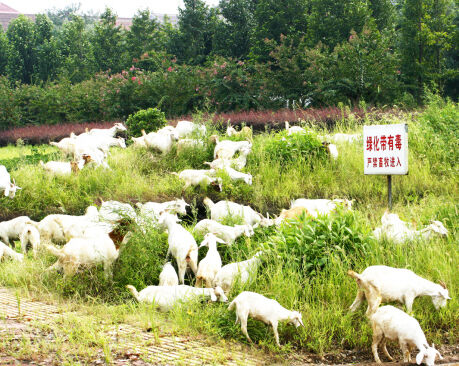 �̻������ж��� �������޶�����