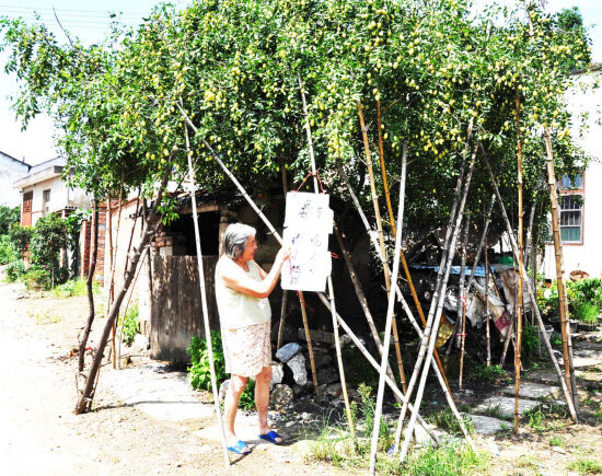 ���ӳ��ú� �����о���