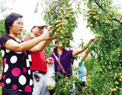 �޹���ˮ�������ο�