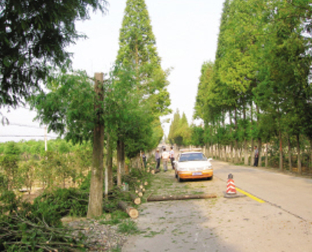 ��·�е����������⿳��