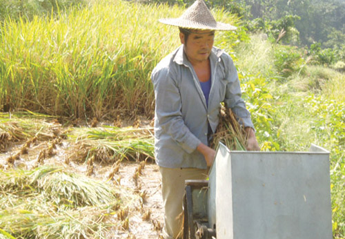 ���ڲ����ջ� ɽ��ũ���ո�æ