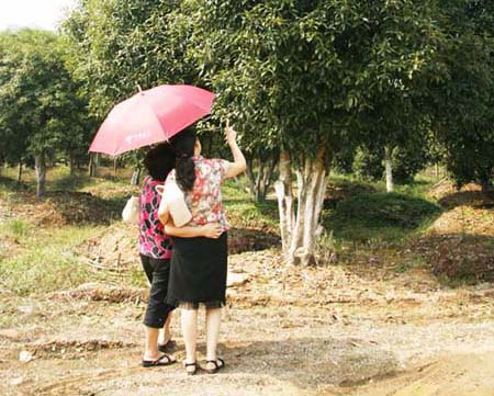 ȥ��������͹�