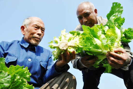 ����5Ԫһ���� �������޲ˡ����۸ߡ�