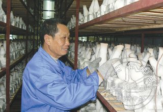 �ӱ������ղ�3000���� һ����������