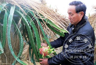 ��ͼ�ġ����������š��ޱ�������