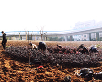 ˫��������̳��ʼ��ױ�����