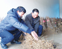 ���ӽ��������������