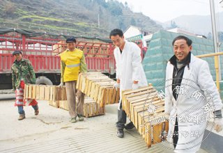 ����������������Զ���ޡ��ന