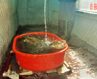 �ȴ����� ���ҹ�����