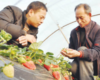 ����ڡ���ݮ���³� ÿ����26Ԫ