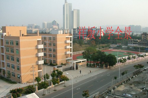 ����Сѧȫ����