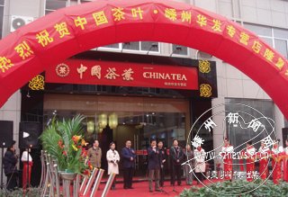 ���й���Ҷ����½����