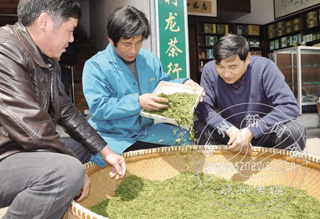 ���������˲��������