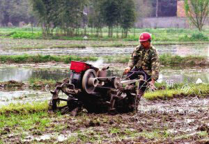 �ֵ�һ�괺��ʱ 