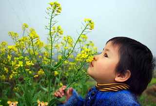 ��Ӱ��������СƷ������