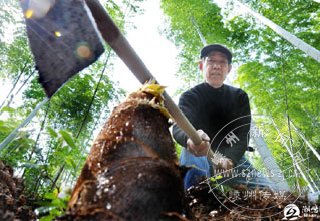 ������̳���������㣩�֮��Ϫ��������