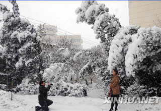 ��ѩϮ����