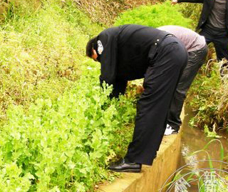 ¹ɽ�ɳ����������