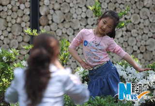 �ο�������