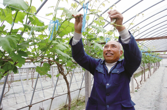 ��ũ����̽����Ʒ���ѷ�չ֮·