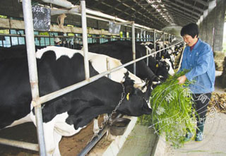 �ղ�����10��� ��Ʒ���뺼������